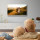 Thomson 40FD2S13W White - 1377998 - zdjęcie 7